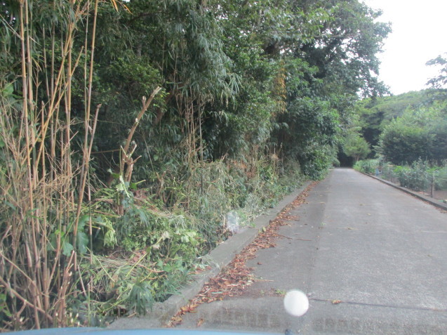 b0366663_08371867.jpg