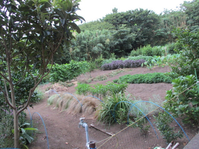 b0366663_08411531.jpg