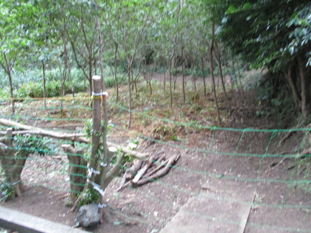 b0366663_08421167.jpg