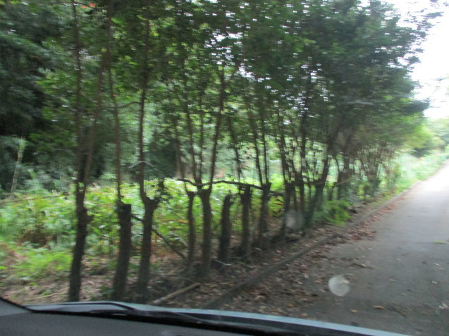 b0366663_08425628.jpg