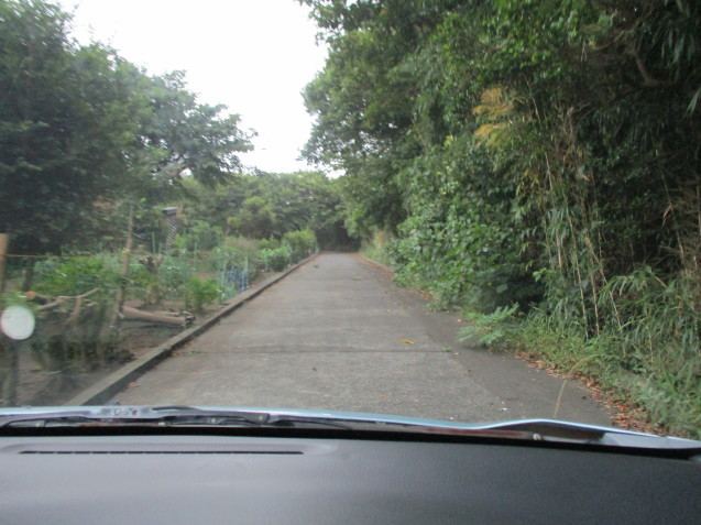b0366663_08474498.jpg