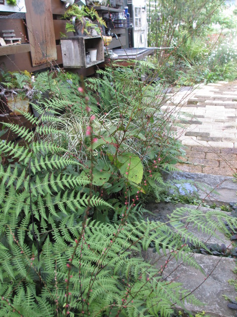 a0243064_11125854.jpg