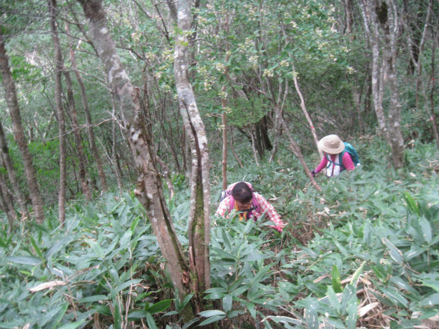 c0219866_11301848.jpg