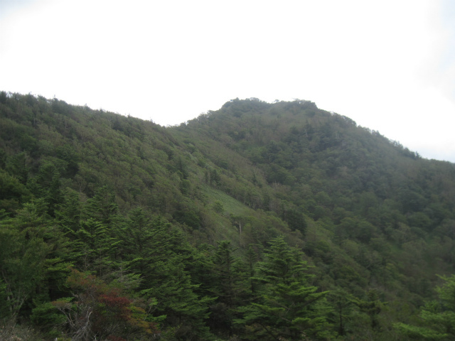 c0219866_11325462.jpg
