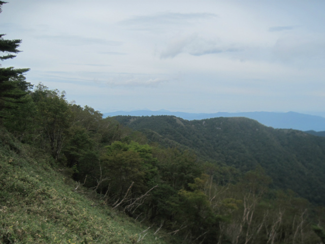 c0219866_11331401.jpg