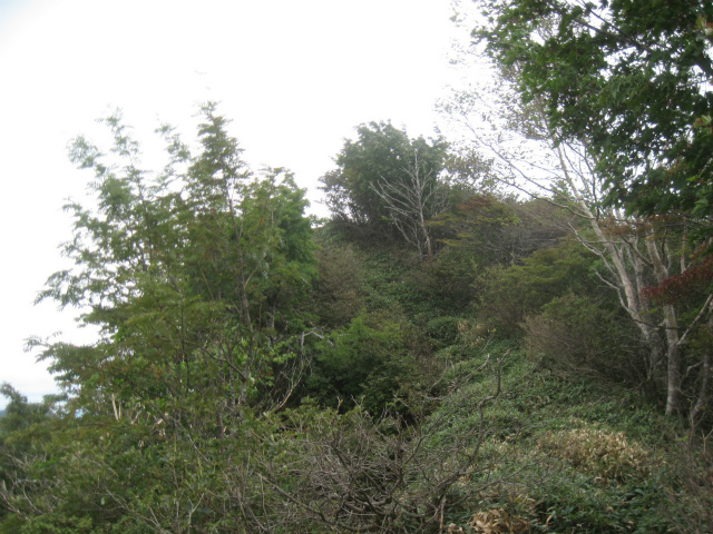c0219866_11342631.jpg