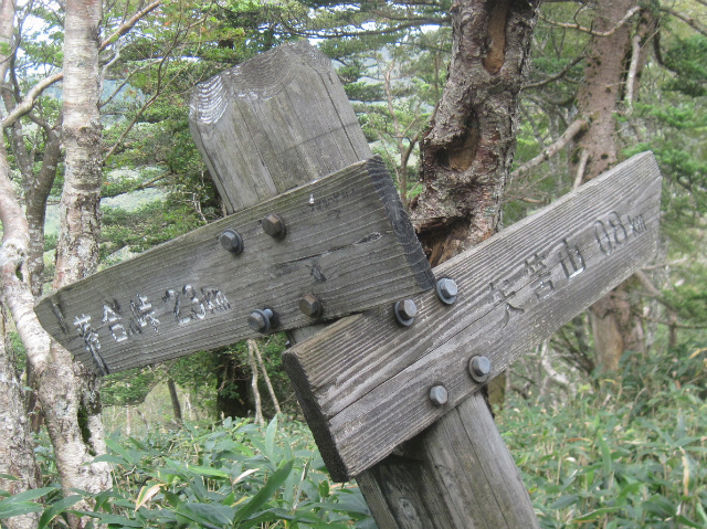 c0219866_11402847.jpg