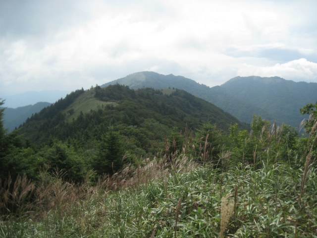 c0219866_11423006.jpg