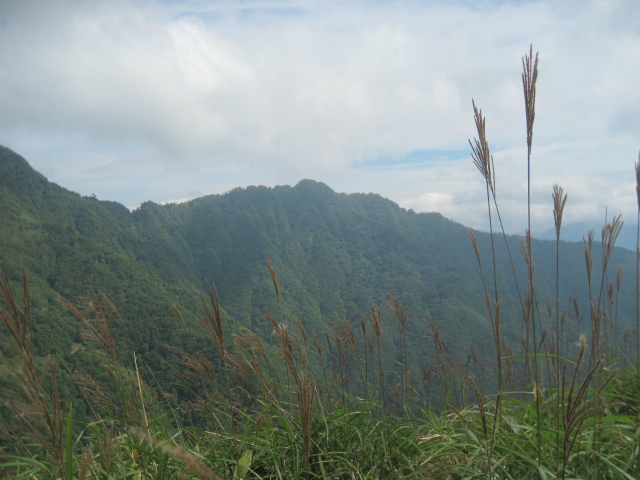 c0219866_11430418.jpg