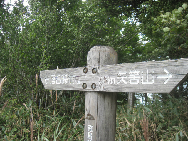 c0219866_11441526.jpg