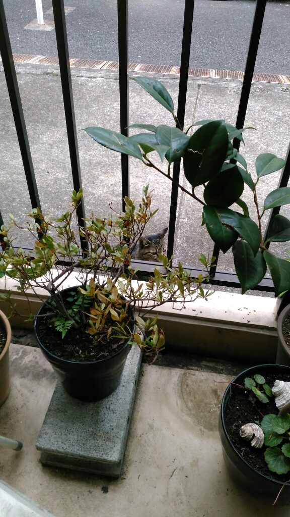 c0162773_13473632.jpg