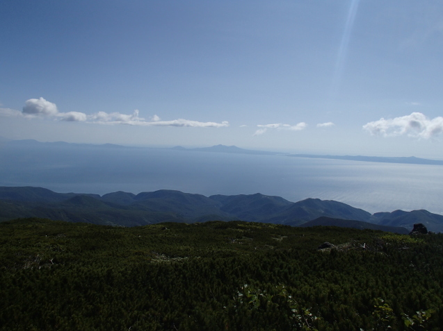 f0130376_19491890.jpg
