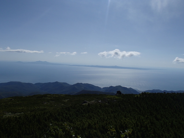 f0130376_19492303.jpg