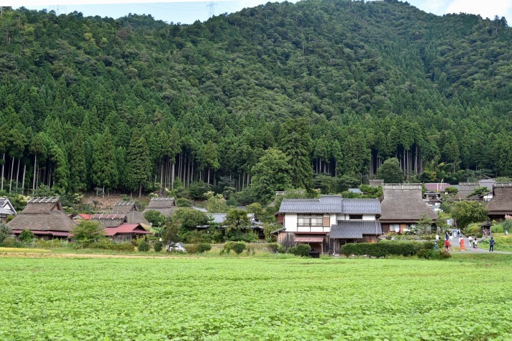 a0206577_12582728.jpg