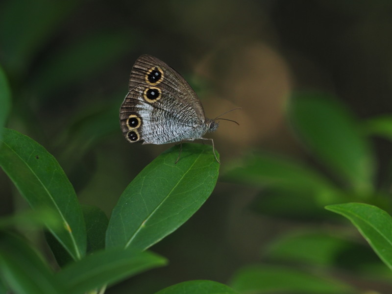b0368380_23311521.jpg