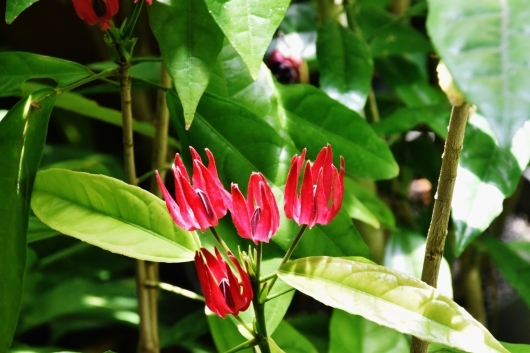 b0329186_08080708.jpg