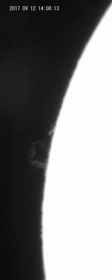 e0174091_15232310.jpg
