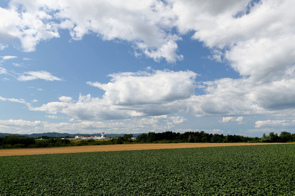 e0204891_19562963.jpg