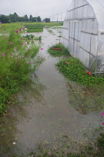 c0337494_16435737.jpg