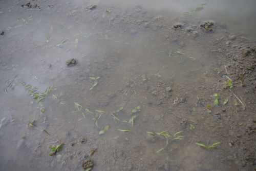 c0337494_16452692.jpg