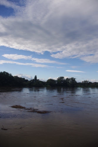 c0337494_16461078.jpg