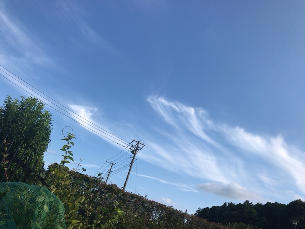 d0135694_13113995.jpg