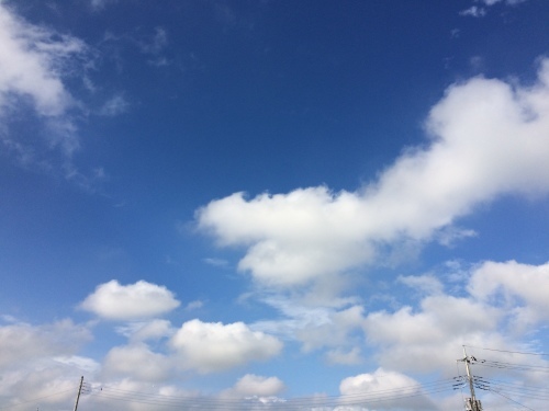 f0215094_16381617.jpg