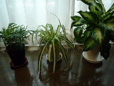 e0346998_09292103.jpg