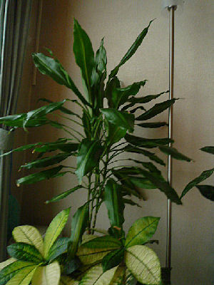 e0346998_09303714.jpg