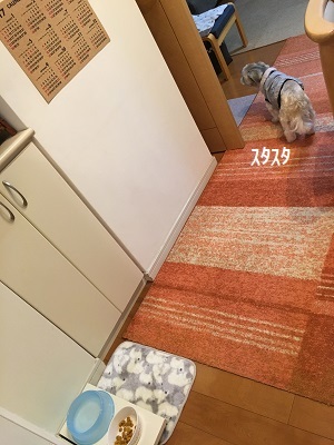 f0372998_22353015.jpg