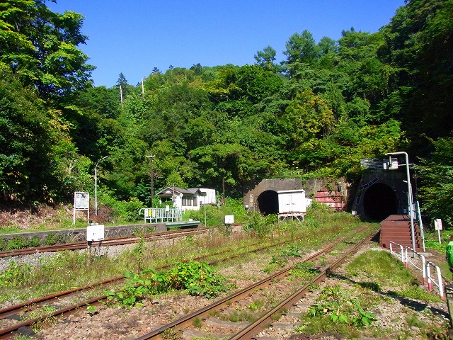 f0157901_10403481.jpg