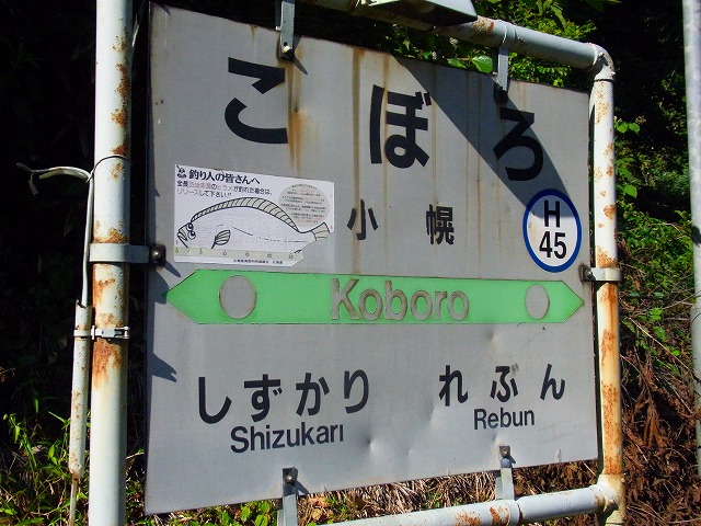 f0157901_1041793.jpg