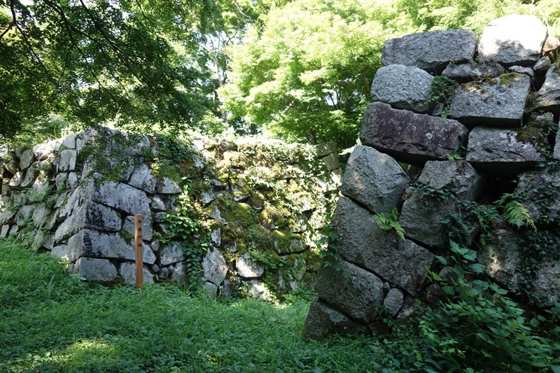 d0133704_12113111.jpg