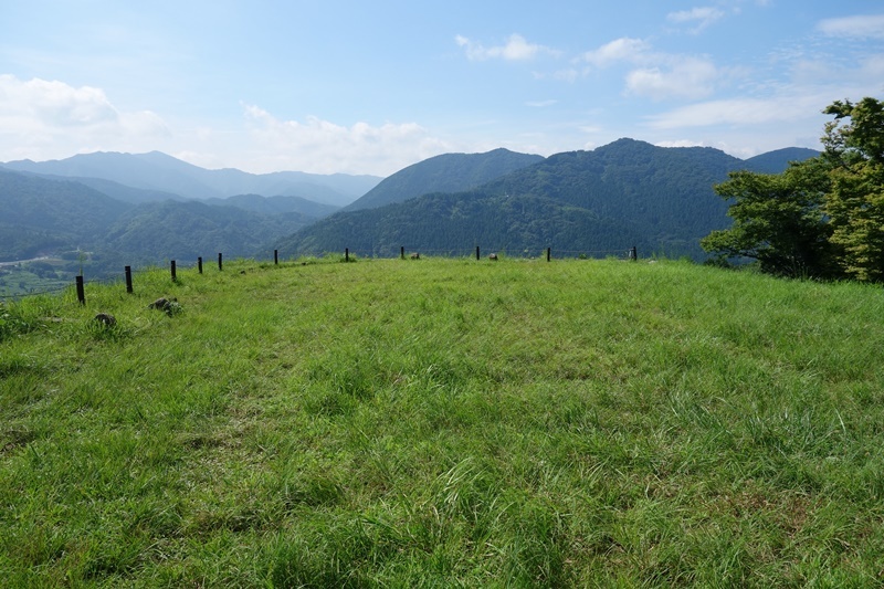 d0133704_12113621.jpg