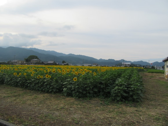 f0231709_19410878.jpg