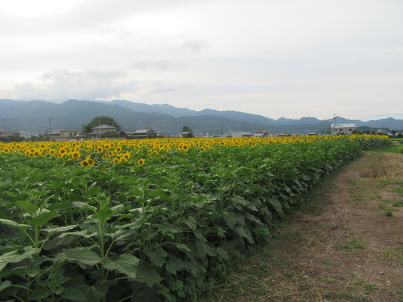 f0231709_19475420.jpg