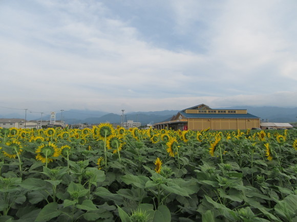 f0231709_19485742.jpg