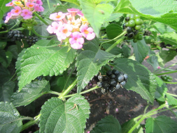 f0231709_20362271.jpg