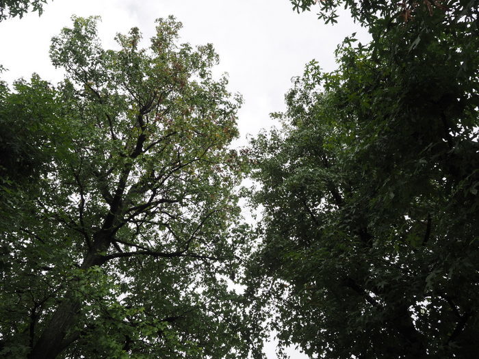 c0116915_00275752.jpg