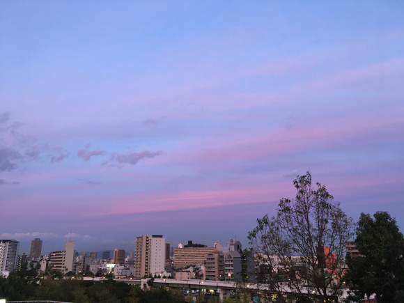 a0098418_21185900.jpg