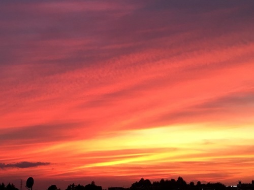 c0131818_18561413.jpg