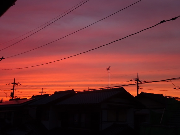 b0163121_22095037.jpg