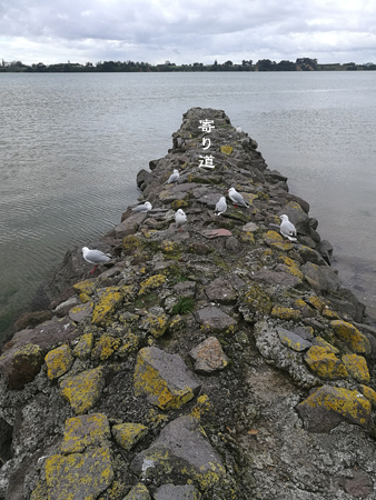 d0042827_19225876.jpg