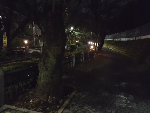 e0016828_10473911.jpg