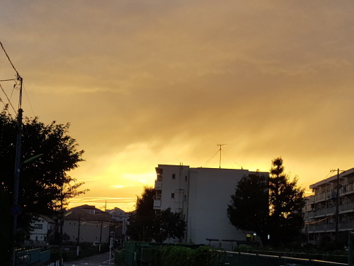 e0016828_10492401.jpg