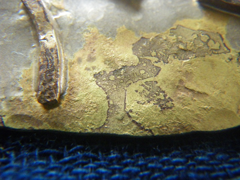 c0033636_046206.jpg