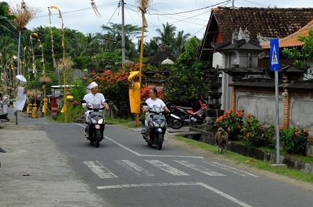 c0148238_15431582.jpg