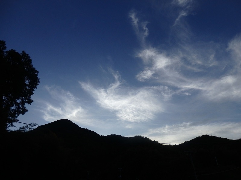 a0054240_20465429.jpg