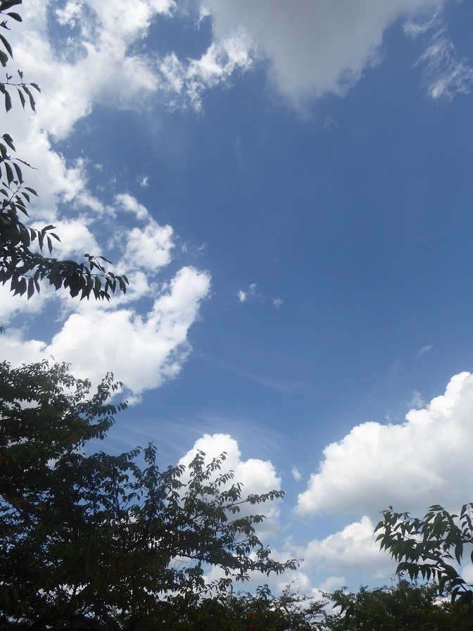 d0288144_23044918.jpg