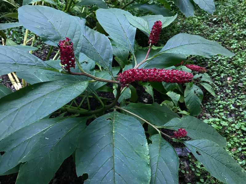 f0169147_21025178.jpg